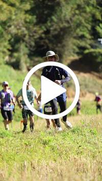 BIB:  <button type="button" onclick="openModal(26565794)" class="btn btn-primary btn-sm float-right" data-toggle="modal" data-target=".modal-high-quality">
                <i class="fa fa-download"></i> Download
                </button>